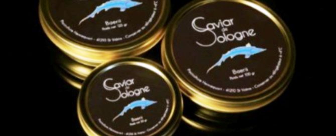 Le Caviar , c'est l'or noir de la Sologne